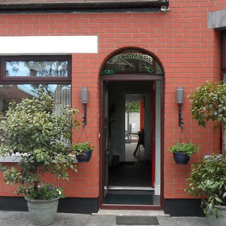 Sycamore House B&B Дублін Екстер'єр фото