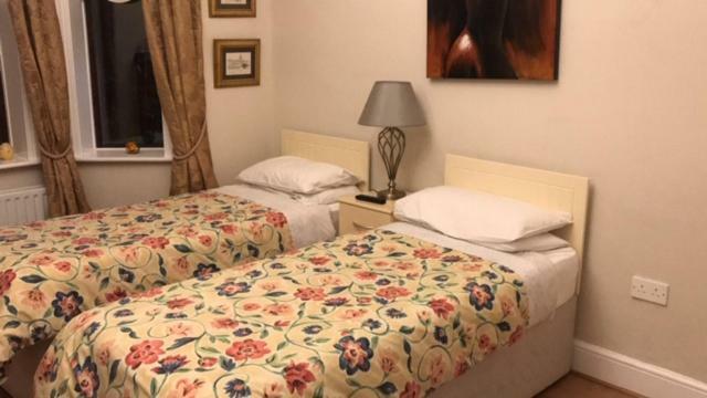 Sycamore House B&B Дублін Екстер'єр фото